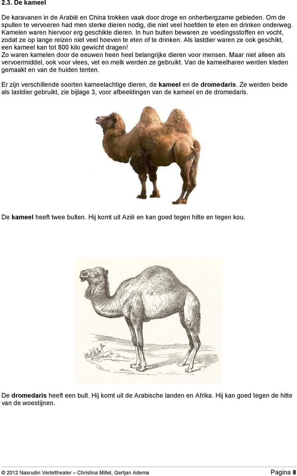 In hun bulten bewaren ze voedingsstoffen en vocht, zodat ze op lange reizen niet veel hoeven te eten of te drinken. Als lastdier waren ze ook geschikt, een kameel kan tot 800 kilo gewicht dragen!