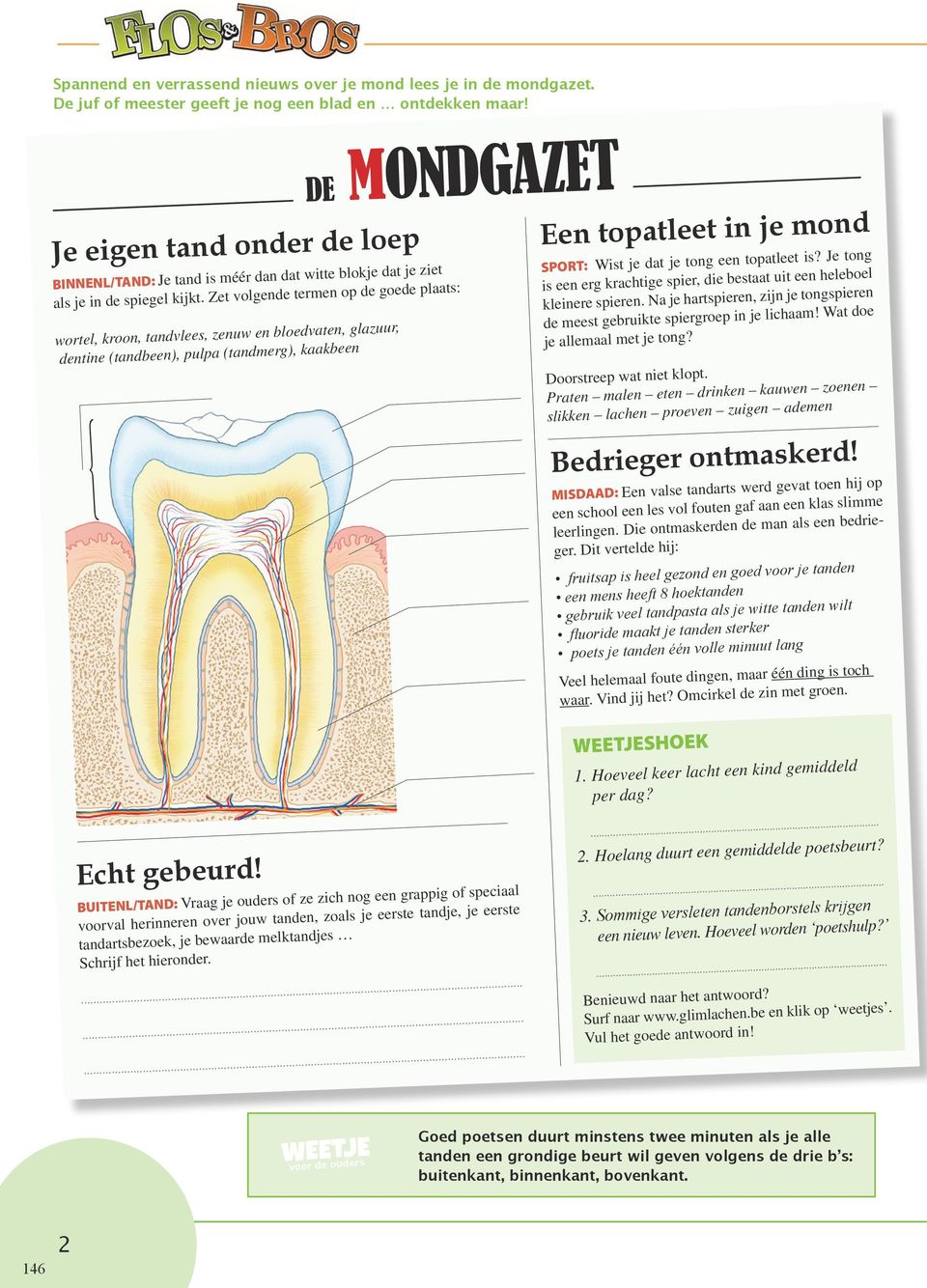 Zet volgende termen op de goede plaats: wortel, kroon, tandvlees, zenuw en bloedvaten, glazuur, dentine (tandbeen), pulpa (tandmerg), kaakbeen DE MONDGAZET Een topatleet in je mond SPORT: Wist je dat