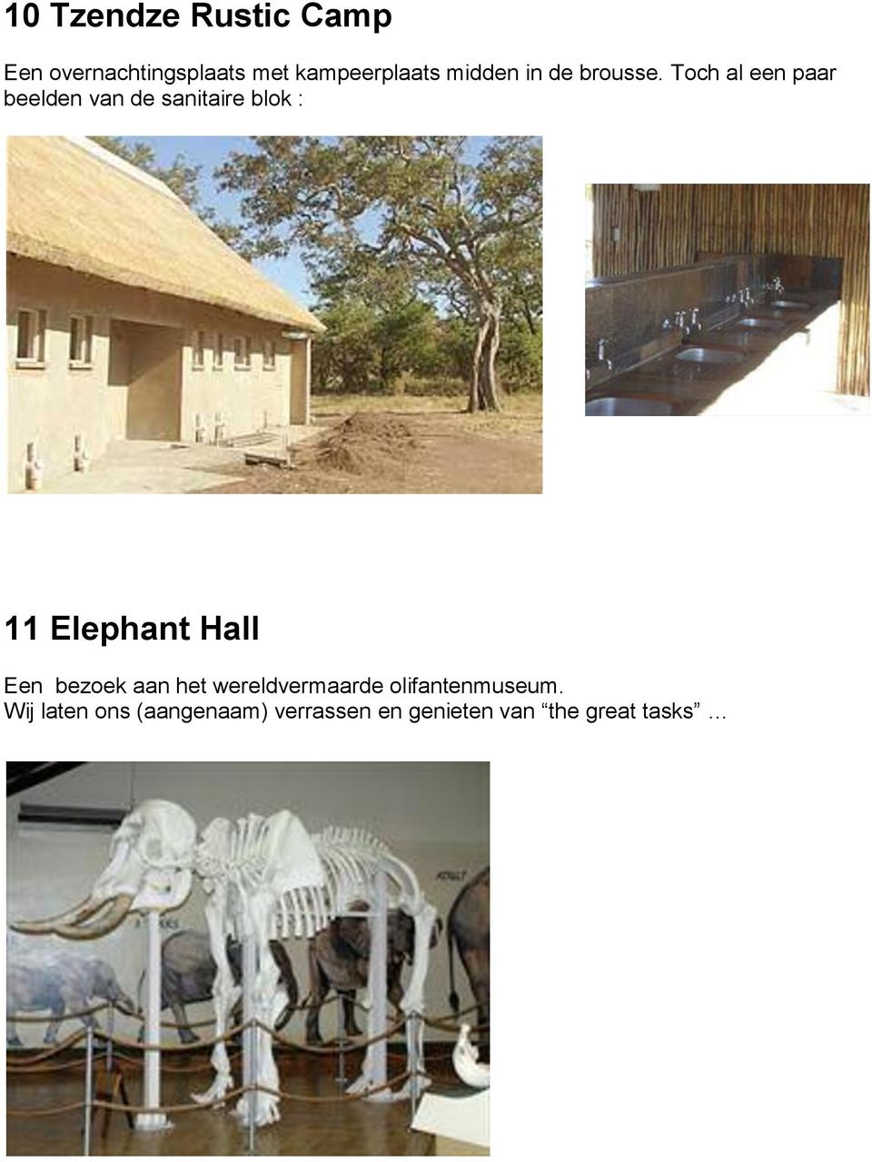 Toch al een paar beelden van de sanitaire blok : 11 Elephant Hall