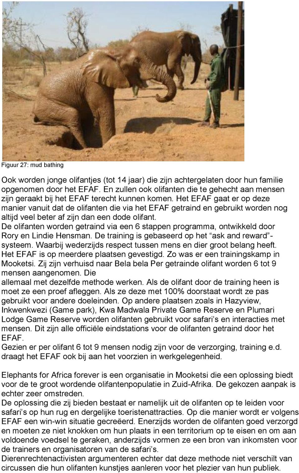 Het EFAF gaat er op deze manier vanuit dat de olifanten die via het EFAF getraind en gebruikt worden nog altijd veel beter af zijn dan een dode olifant.