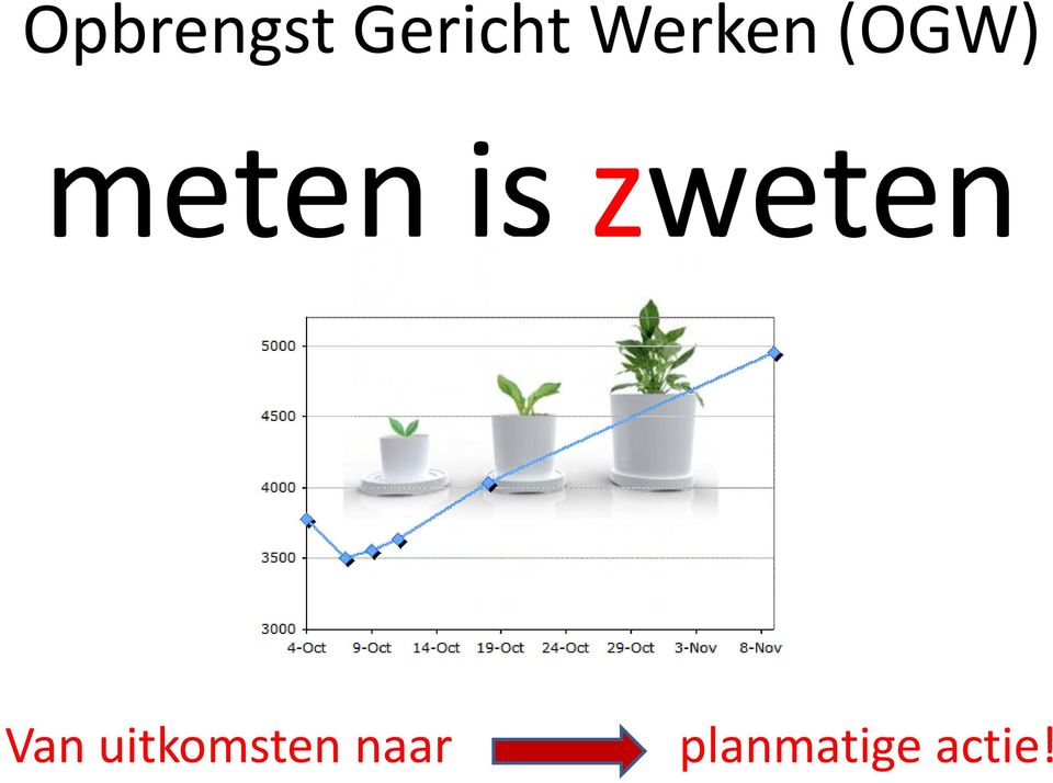 is zweten Van