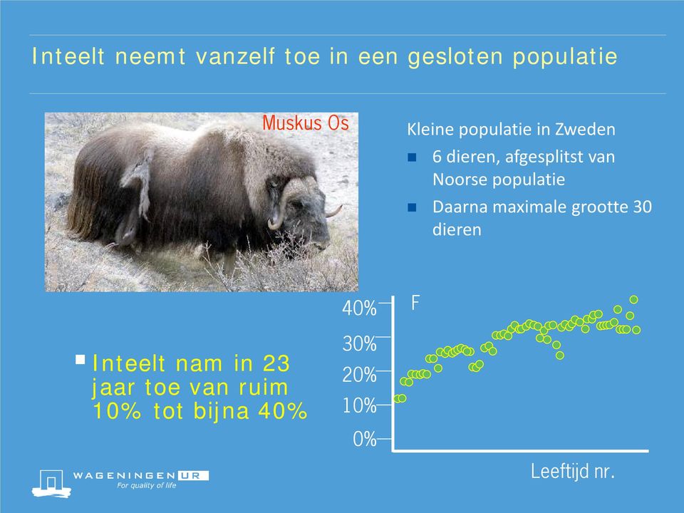 populatie Daarna maximale grootte 30 dieren 40% F Inteelt nam