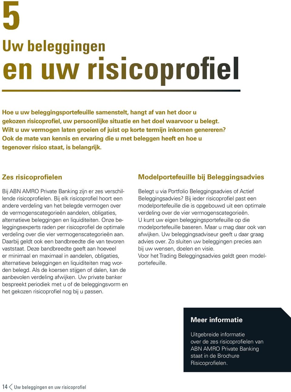 Zes risicoprofielen Bij ABN AMRO Private Banking zijn er zes verschillende risicoprofielen.