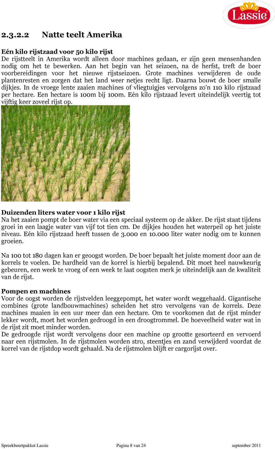 Daarna bouwt de boer smalle dijkjes. In de vroege lente zaaien machines of vliegtuigjes vervolgens zo n 110 kilo rijstzaad per hectare. Een hectare is 100m bij 100m.