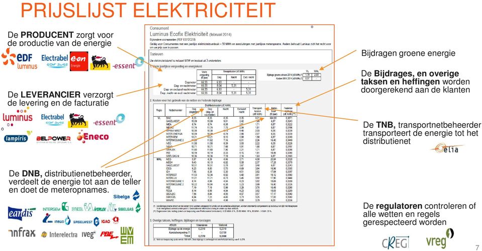 TNB, transportnetbeheerder transporteert de energie tot het distributienet De DNB, distributienetbeheerder, verdeelt de