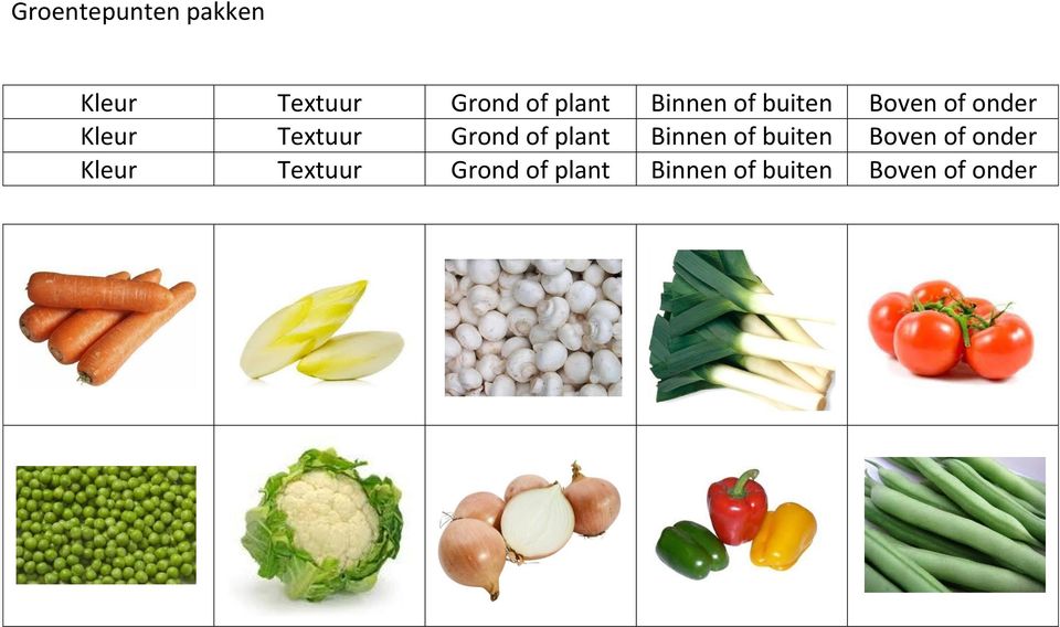 Grond of plant  Grond of plant Binnen of buiten