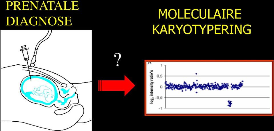 MOLECULAIRE