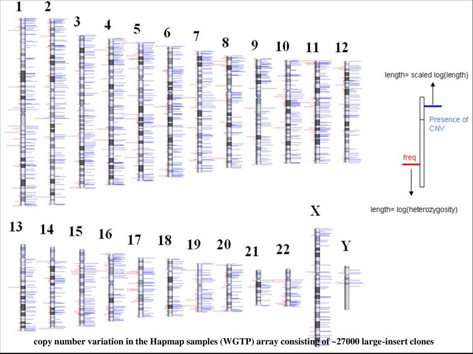 (WGTP) array consisting