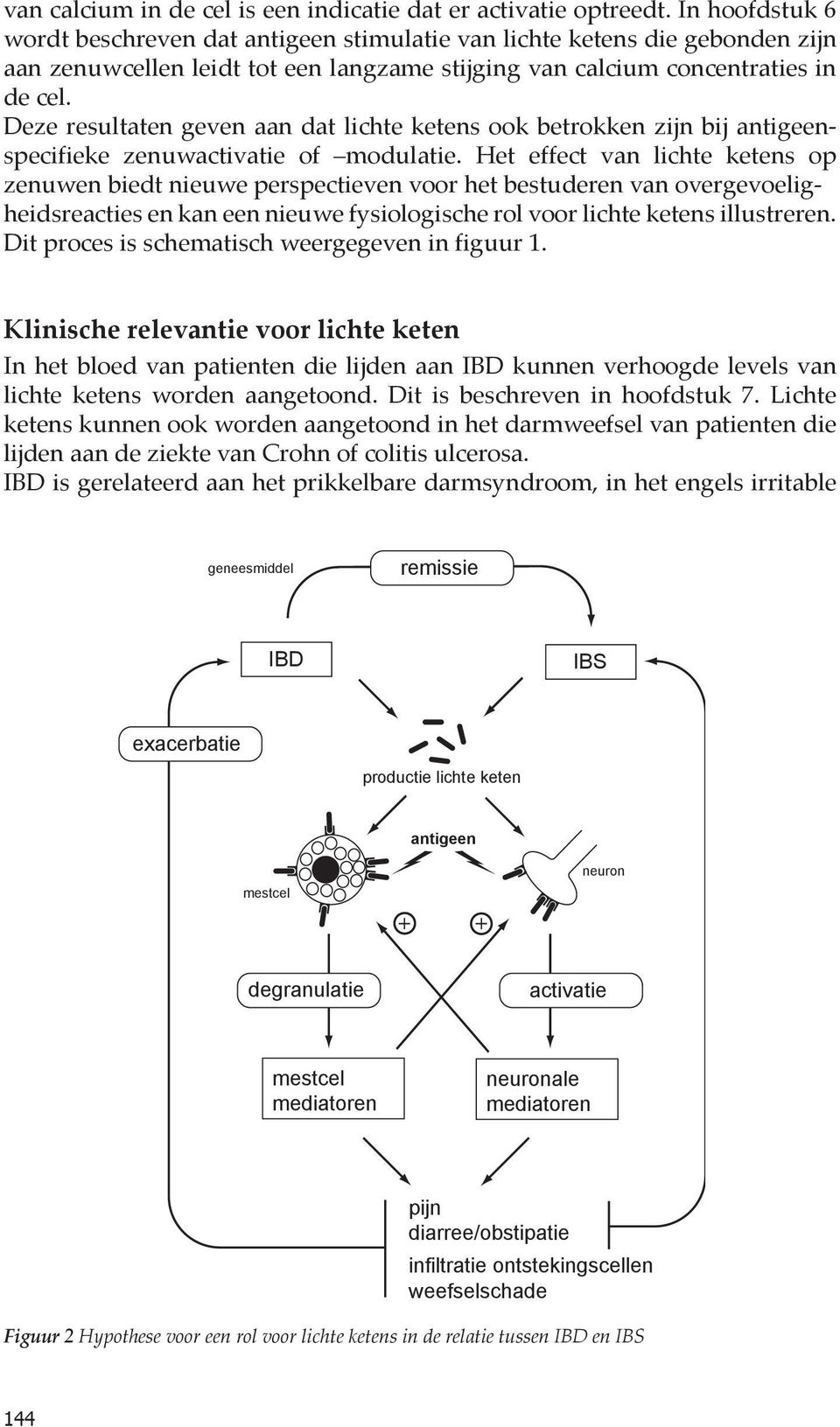 Deze resultaten geven aan dat lichte ketens ook betrokken zijn bij antigeenspecifieke zenuwactivatie of modulatie.