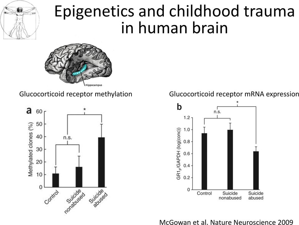 methylation Glucocorticoid receptor mrna