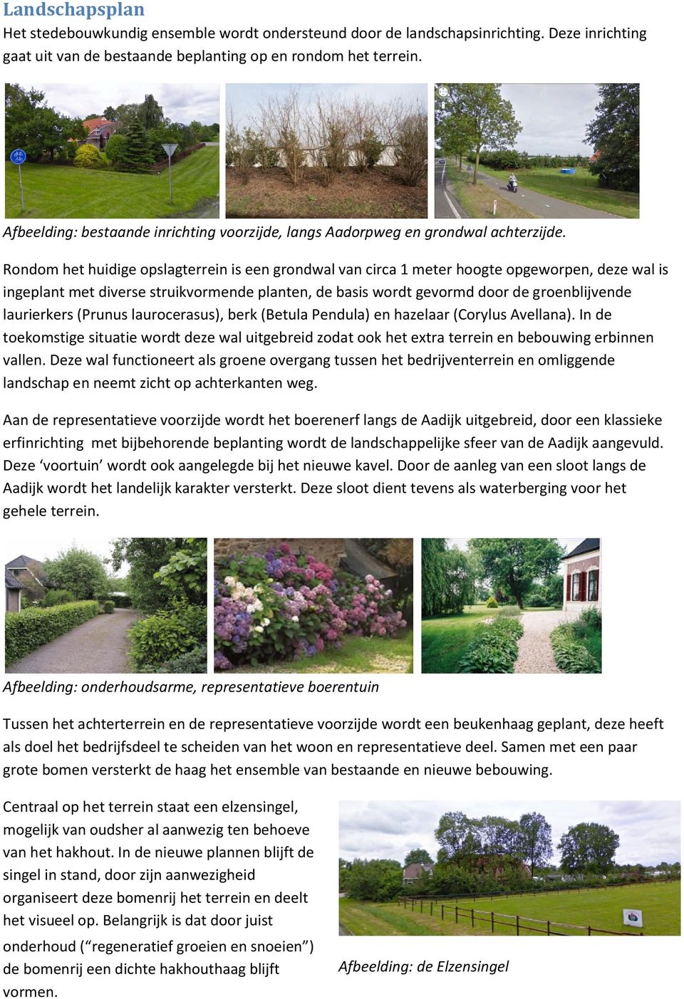 Rondom het huidige opslagterrein is een grondwal van circa 1 meter hoogte opgeworpen, deze wal is ingeplant met diverse struikvormende planten, de basis wordt gevormd door de groenblijvende