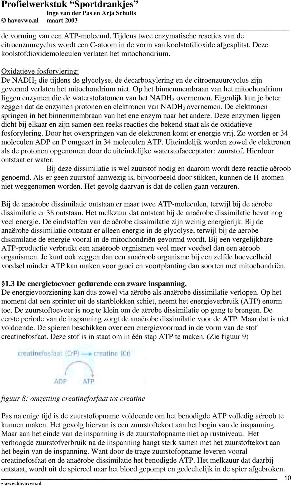 Oxidatieve fosforylering: De NADH 2 die tijdens de glycolyse, de decarboxylering en de citroenzuurcyclus zijn gevormd verlaten het mitochondrium niet.