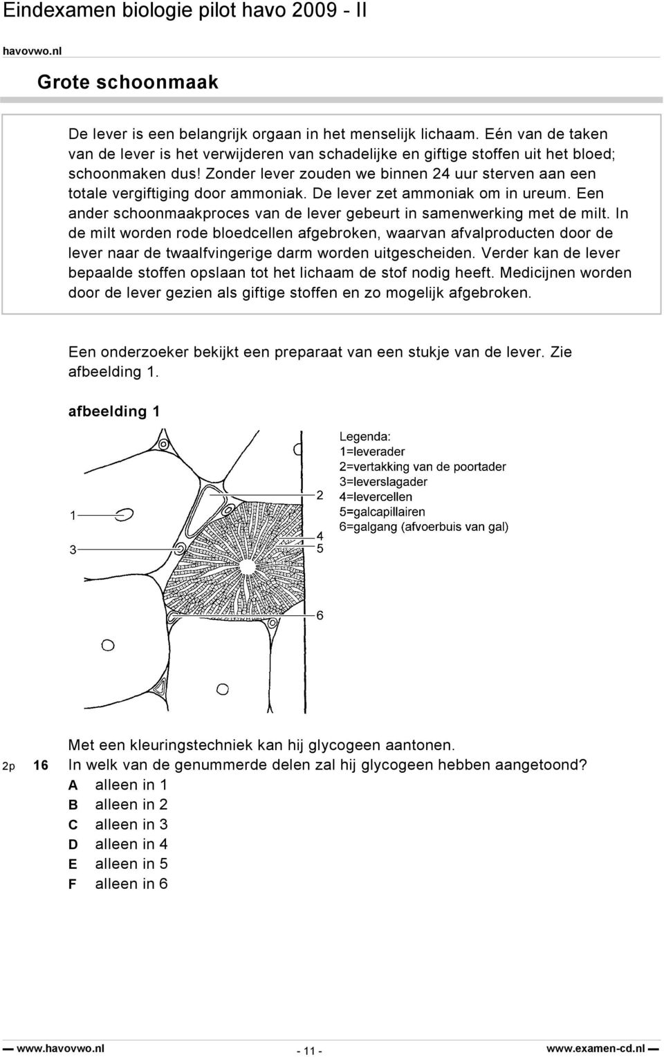 In de milt worden rode bloedcellen afgebroken, waarvan afvalproducten door de lever naar de twaalfvingerige darm worden uitgescheiden.