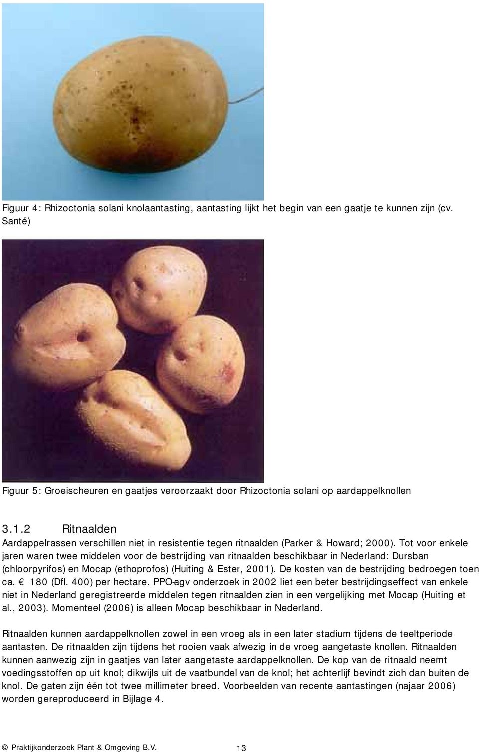 2 Ritnaalden Aardappelrassen verschillen niet in resistentie tegen ritnaalden (Parker & Howard; 2000).