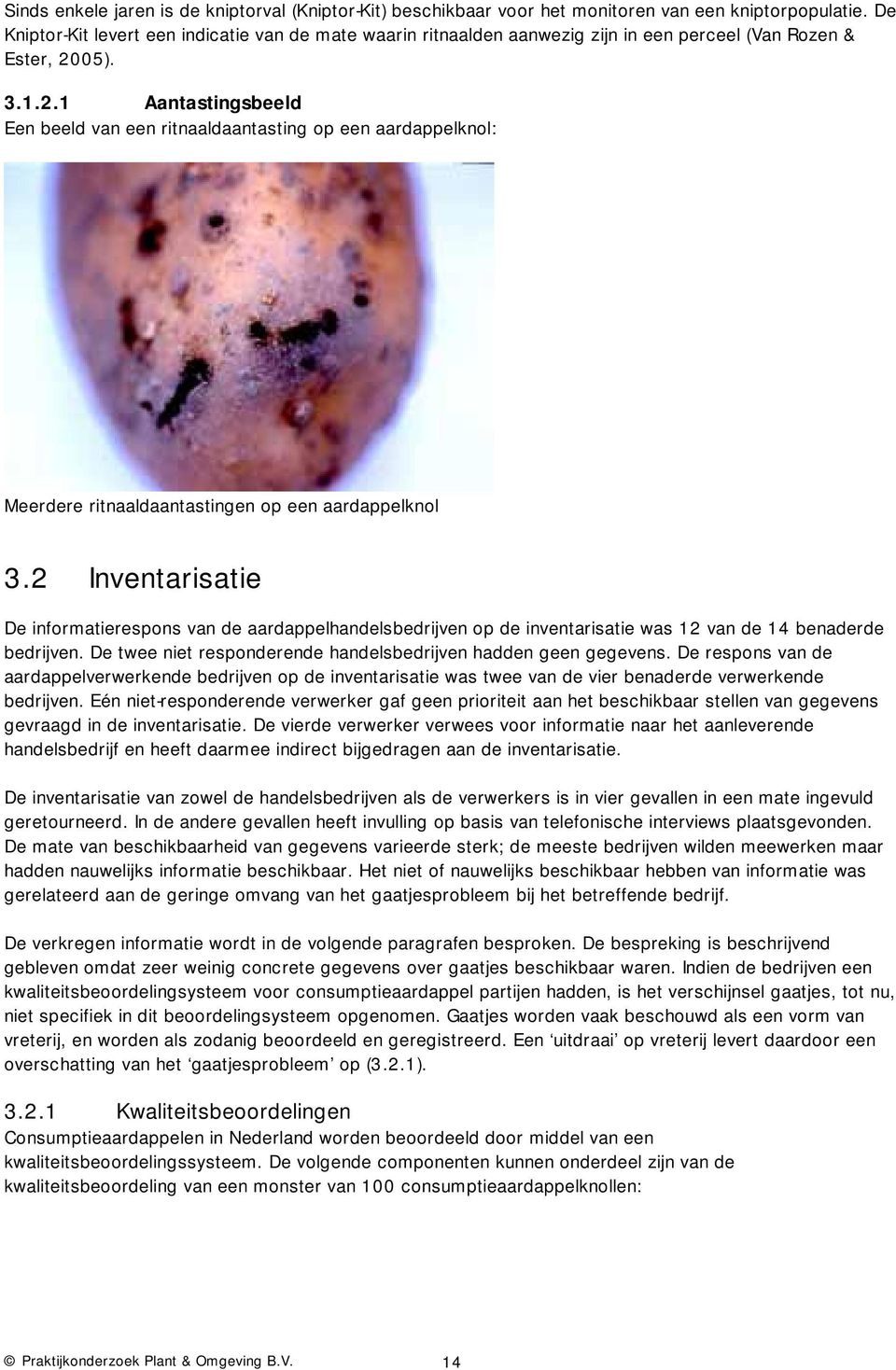05). 3.1.2.1 Aantastingsbeeld Een beeld van een ritnaaldaantasting op een aardappelknol: Meerdere ritnaaldaantastingen op een aardappelknol 3.
