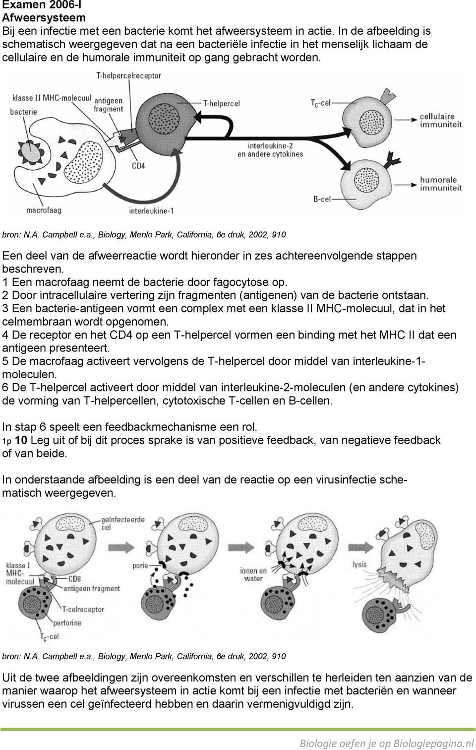 1 Een macrofaag neemt de bacterie door fagocytose op. 2 Door intracellulaire vertering zijn fragmenten (antigenen) van de bacterie ontstaan.