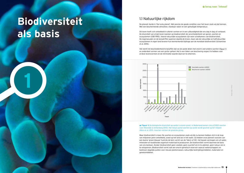 De diversiteit van al dat leven noemen we biodiversiteit: de verscheidenheid van genen, soorten en ecosystemen (CBD 1992). Vooral natuurlijke ecosystemen zijn ware schatkamers van biodiversiteit.