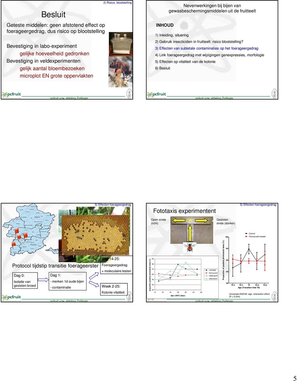 3) Effecten van subletale contaminaties op het foerageergedrag 4) Link foerageergedrag met wijzigingen genexpressies, morfologie 5) Effecten op vitaliteit van de kolonie 6) Besluit Nevenwerkingen bij