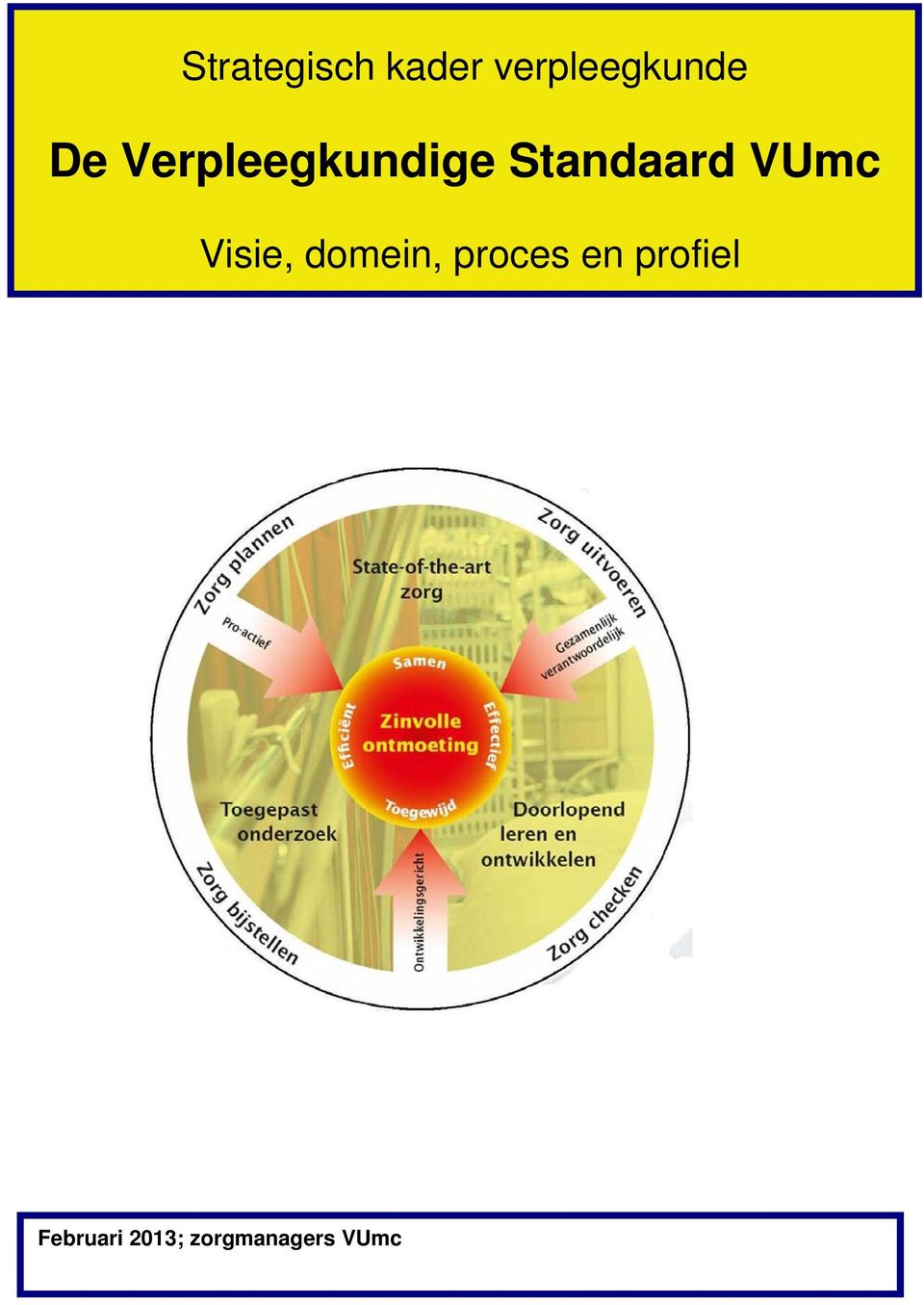 VUmc Visie, domein, proces en