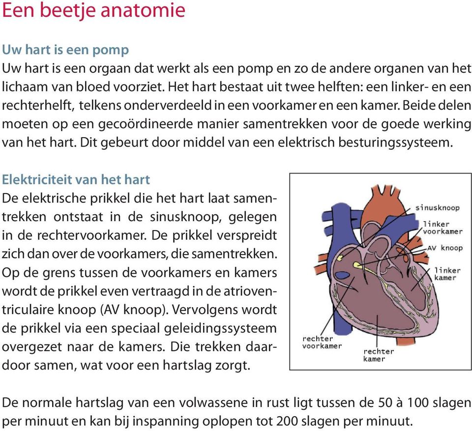 Beide delen moeten op een gecoördineerde manier samentrekken voor de goede werking van het hart. Dit gebeurt door middel van een elektrisch besturingssysteem.