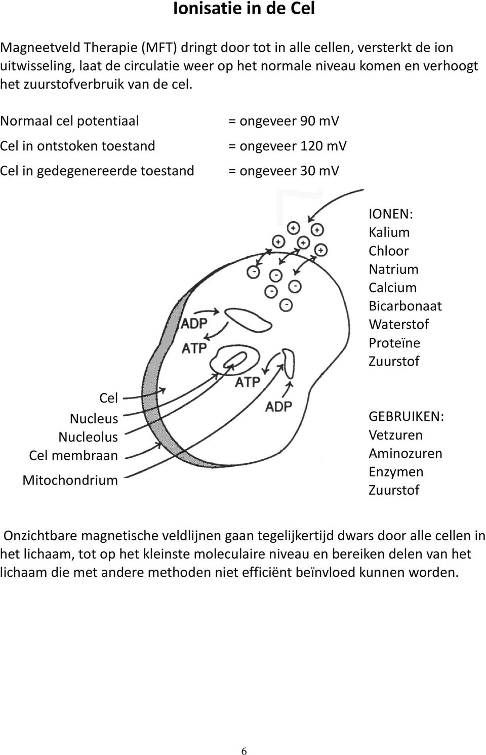 Normaal cel potentiaal Cel in ontstoken toestand Cel in gedegenereerde toestand = ongeveer 90 mv = ongeveer 120 mv = ongeveer 30 mv IONEN: Kalium Chloor Natrium Calcium Bicarbonaat