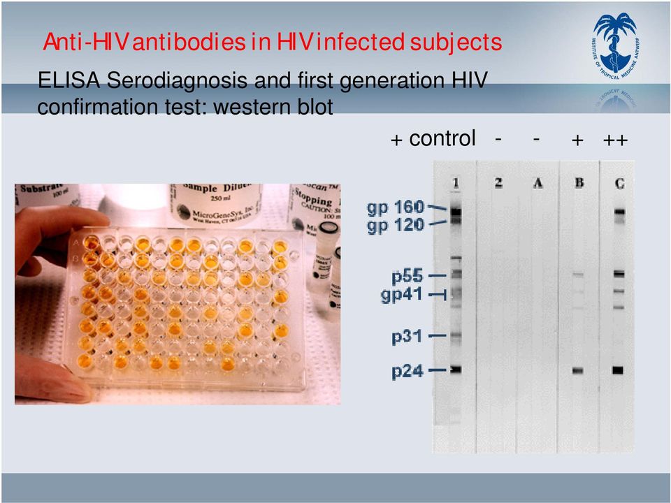 Serodiagnosis and first generation