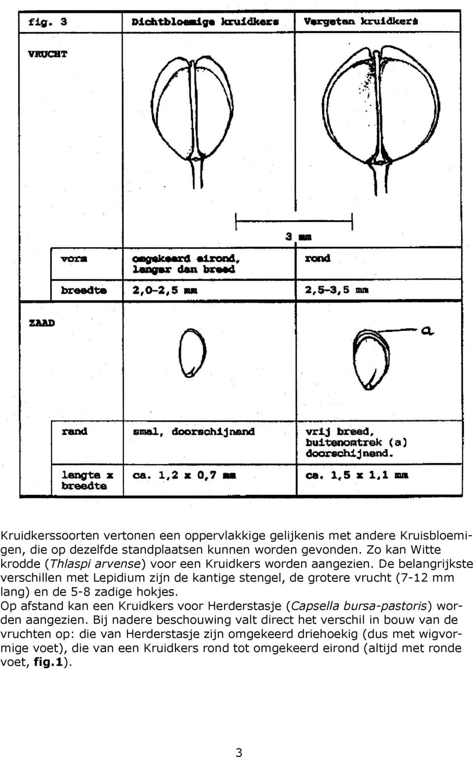 De belangrijkste verschillen met Lepidium zijn de kantige stengel, de grotere vrucht (7-12 mm lang) en de 5-8 zadige hokjes.