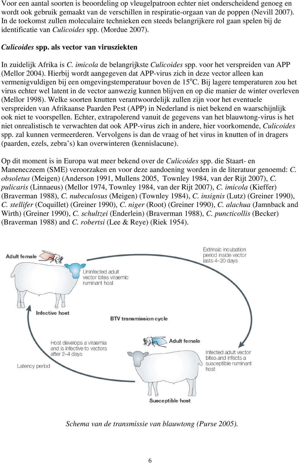 imicola de belangrijkste Culicoides spp. voor het verspreiden van APP (Mellor 2004).