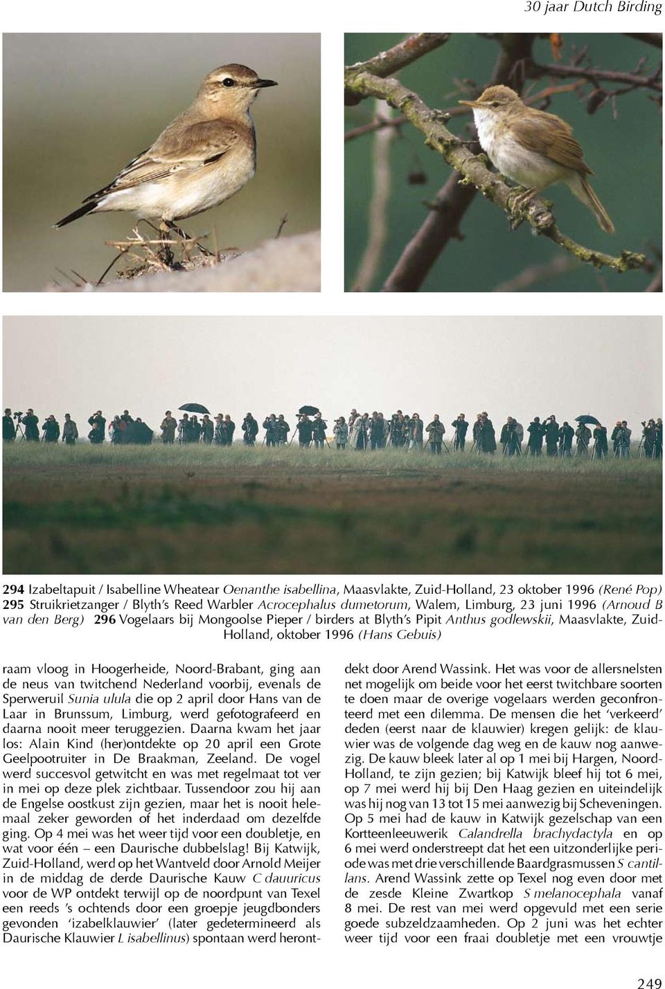 Noord-Brabant, ging aan de neus van twitchend Nederland voorbij, evenals de Sperweruil Sunia ulula die op 2 april door Hans van de Laar in Brunssum, Limburg, werd gefotografeerd en daarna nooit meer