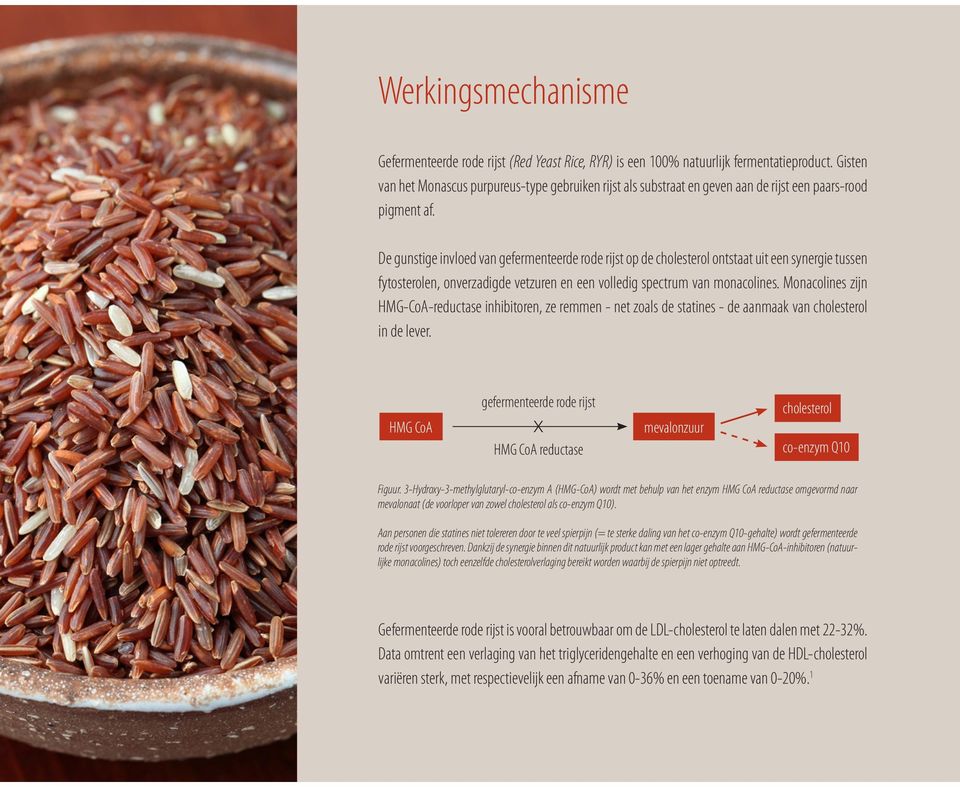 De gunstige invloed van gefermenteerde rode rijst op de cholesterol ontstaat uit een synergie tussen fytosterolen, onverzadigde vetzuren en een volledig spectrum van monacolines.