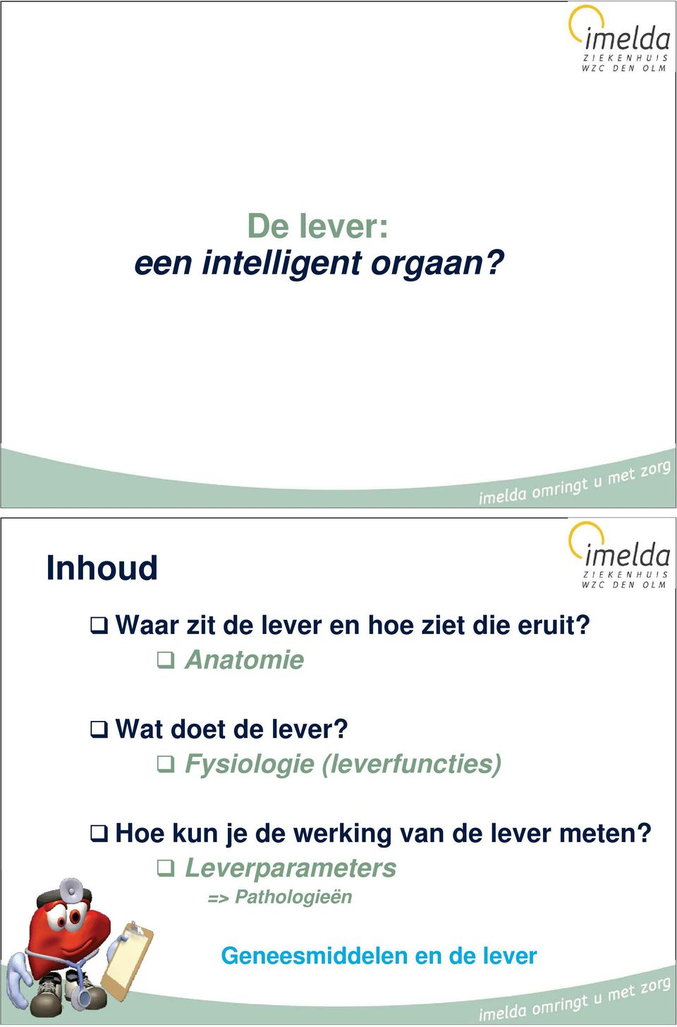 Anatomie Wat doet de lever?