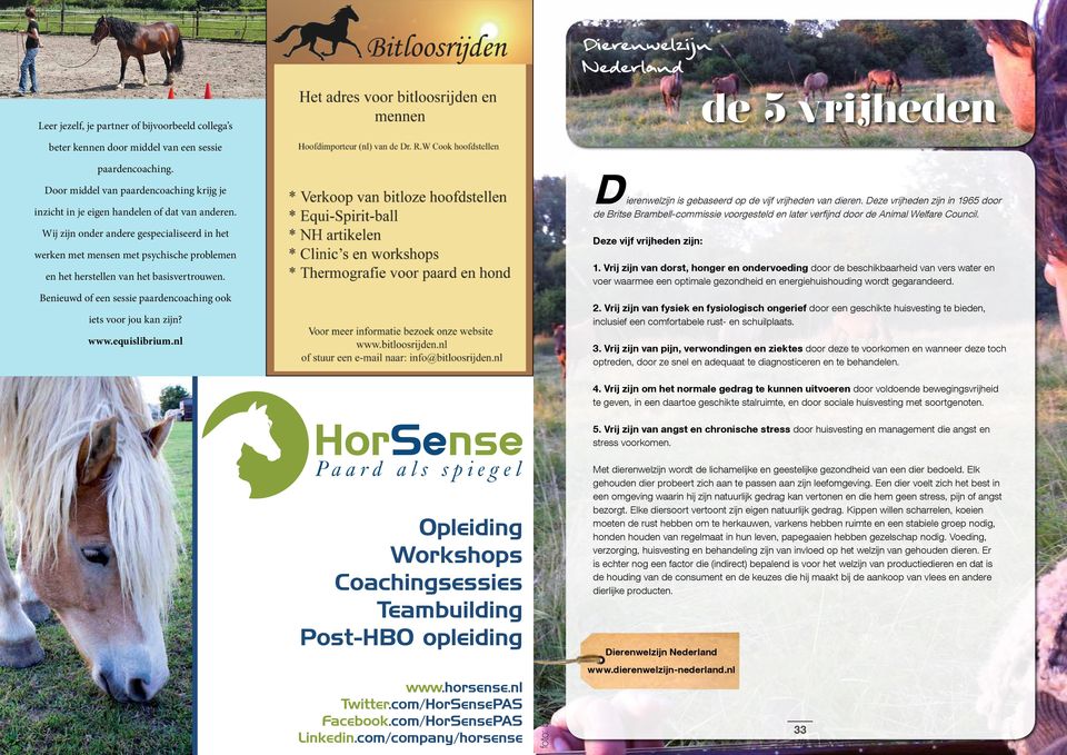 Wij zijn onder andere gespecialiseerd in het werken met mensen met psychische problemen en het herstellen van het basisvertrouwen. Benieuwd of een sessie paardencoaching ook iets voor jou kan zijn?