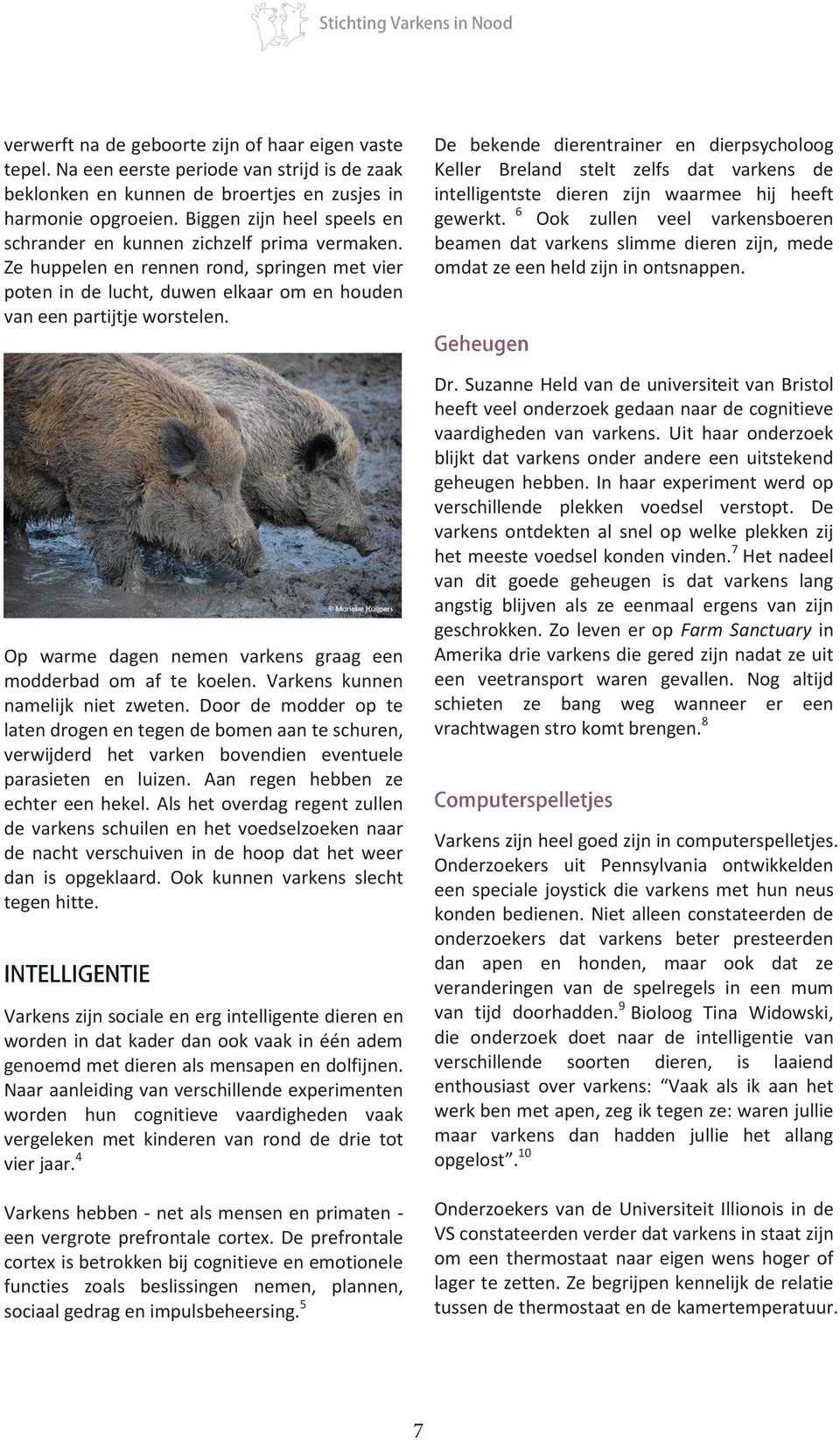 De bekende dierentrainer en dierpsycholoog Keller Breland stelt zelfs dat varkens de intelligentste dieren zijn waarmee hij heeft gewerkt.