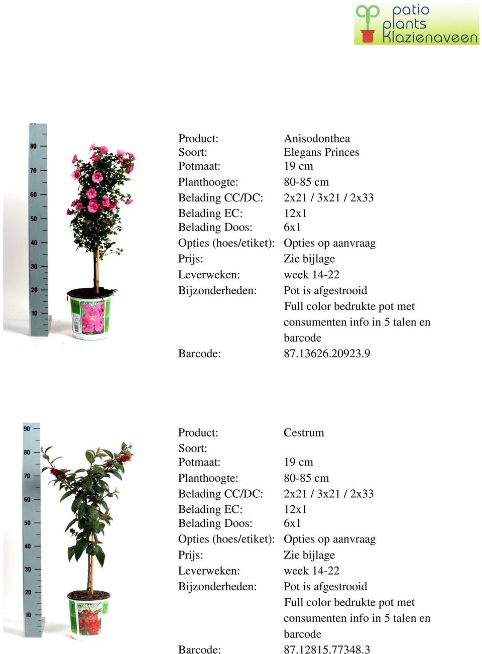13626.20923.9 Cestrum Planthoogte: 80-85 cm Belading CC/DC: 2x21 / 3x21 / 2x33 Opties (hoes/etiket): Opties op 12815.