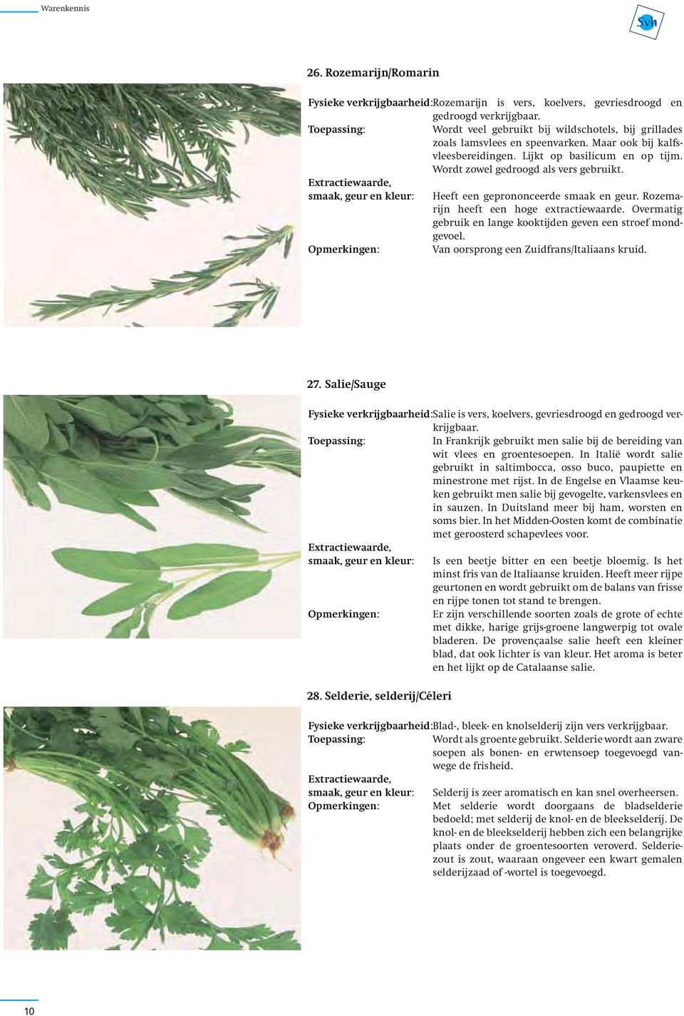 smaak, geur en kleur: Heeft een geprononceerde smaak en geur. Rozemarijn heeft een hoge extractiewaarde. Overmatig gebruik en lange kooktijden geven een stroef mondgevoel.