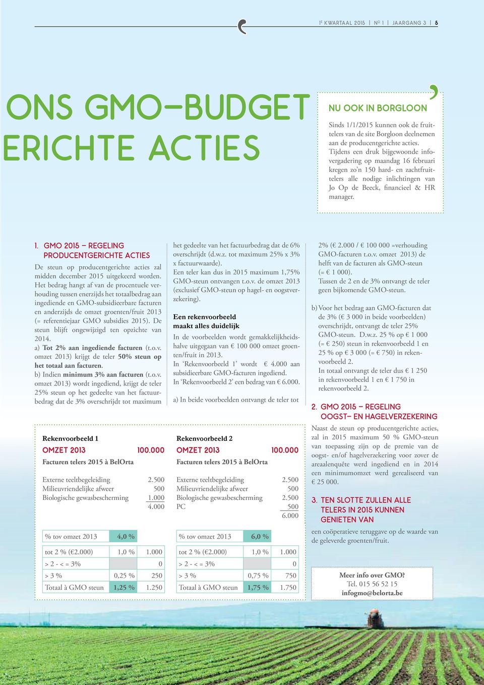 Het bedrag hangt af van de procentuele verhouding tussen enerzijds het totaalbedrag aan ingediende en GMO-subsidieerbare facturen en anderzijds de omzet groenten/fruit 2013 (= referentiejaar GMO