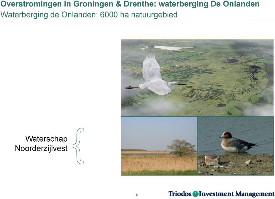 Waterberging de Onlanden: 6000 ha