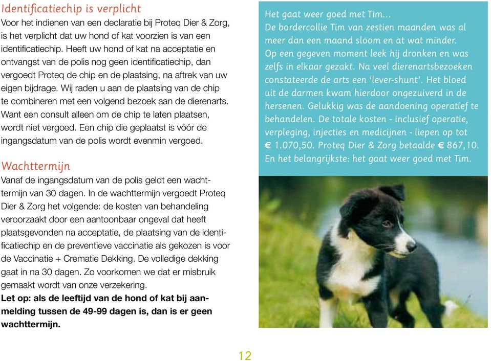 Wij raden u aan de plaatsing van de chip te combineren met een volgend bezoek aan de dierenarts. Want een consult alleen om de chip te laten plaatsen, wordt niet vergoed.