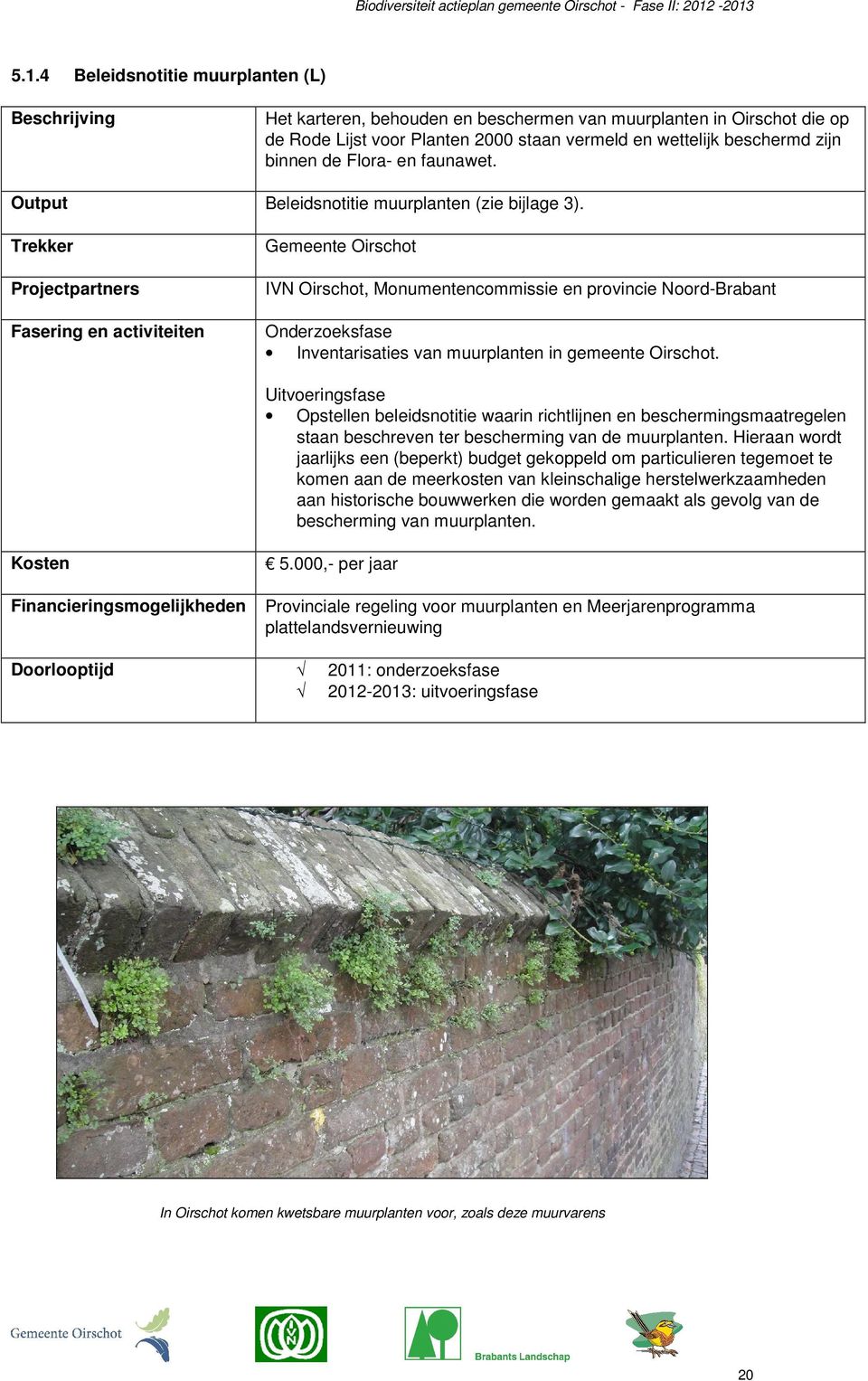 Trekker Projectpartners Fasering en activiteiten Gemeente Oirschot IVN Oirschot, Monumentencommissie en provincie Noord-Brabant Onderzoeksfase Inventarisaties van muurplanten in gemeente Oirschot.