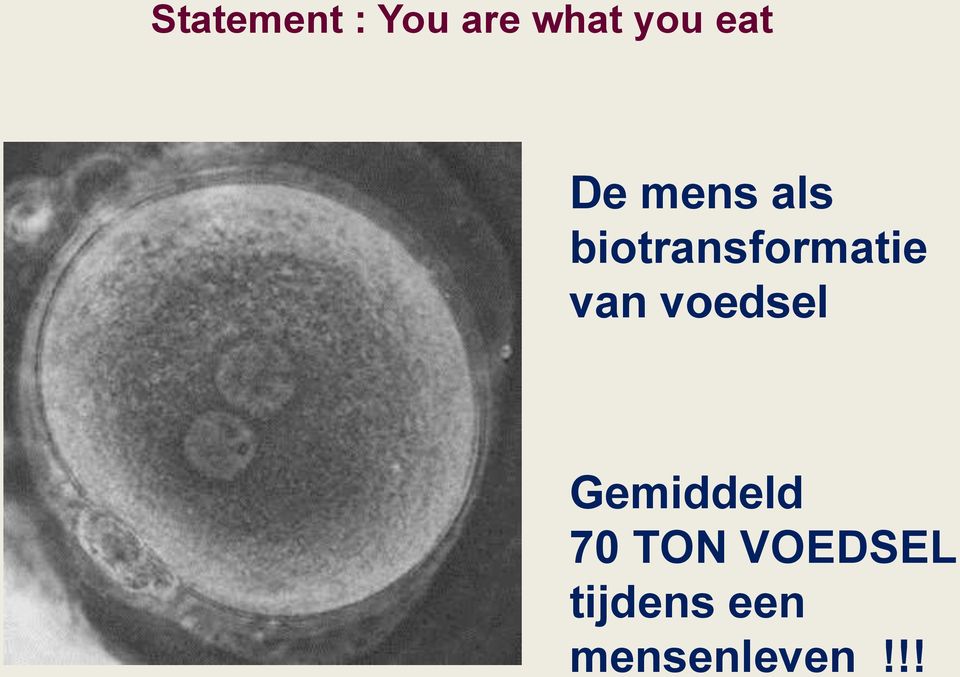 biotransformatie van voedsel