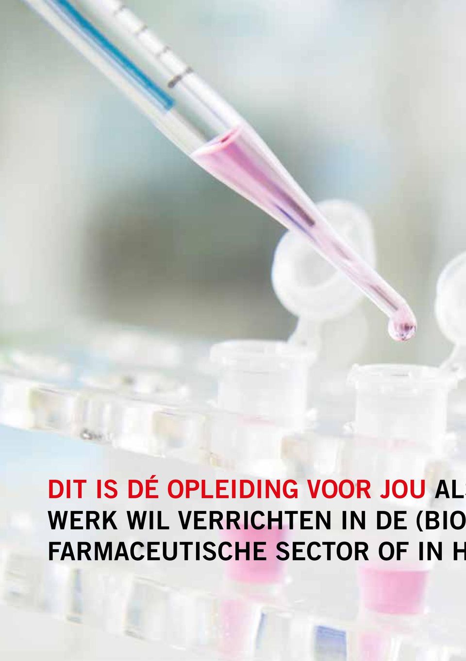 VERRICHTEN IN DE (BIO