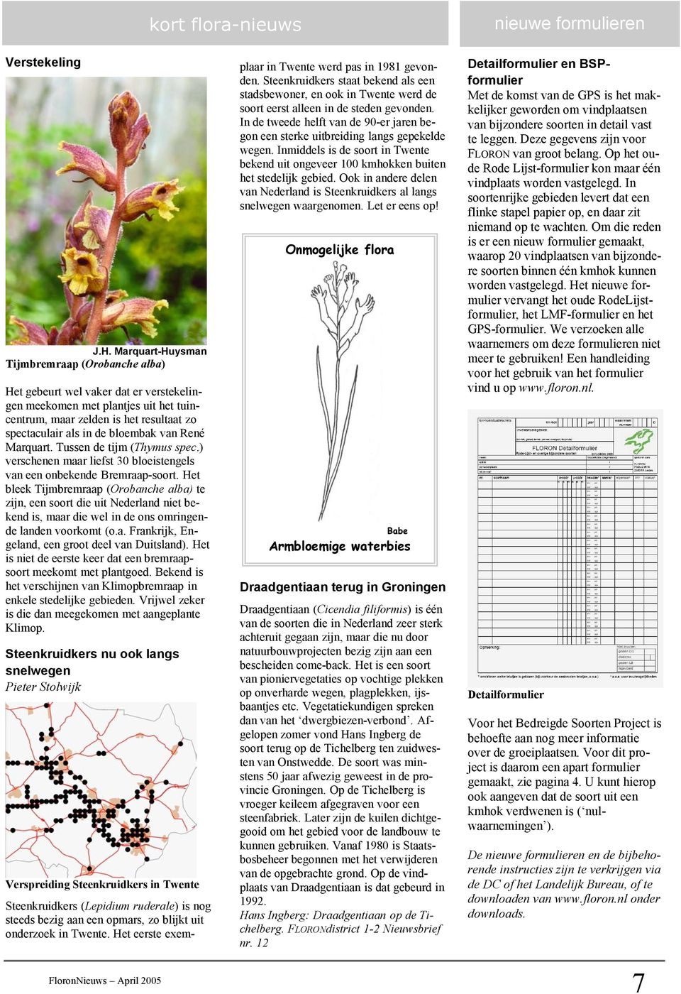 van René Marquart. Tussen de tijm (Thymus spec.) verschenen maar liefst 30 bloeistengels van een onbekende Bremraap-soort.