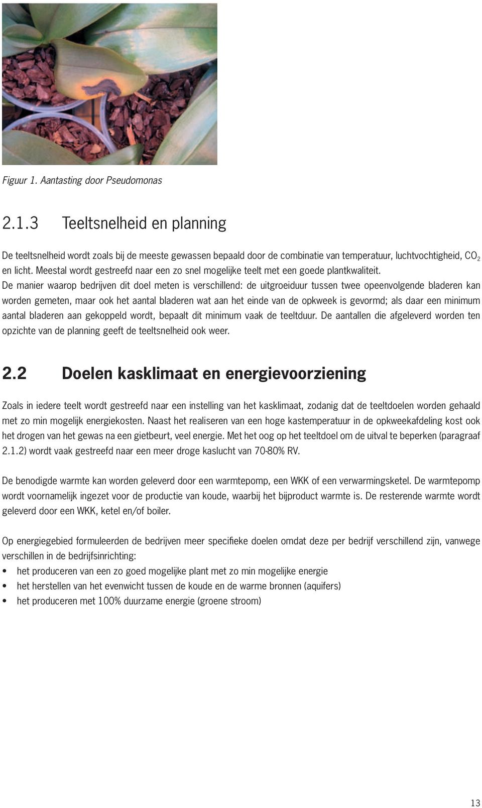 De manier waarop bedrijven dit doel meten is verschillend: de uitgroeiduur tussen twee opeenvolgende bladeren kan worden gemeten, maar ook het aantal bladeren wat aan het einde van de opkweek is