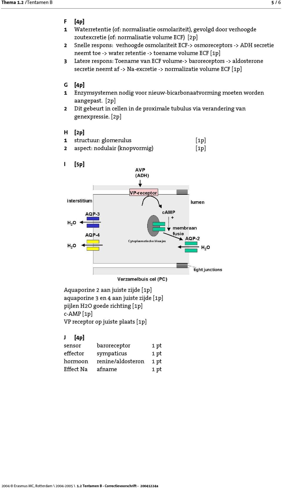 osmoreceptors -> ADH secretie neemt toe -> water retentie -> toename volume ECF [1p] 3 Latere respons: Toename van ECF volume-> baroreceptors -> aldosterone secretie neemt af -> Na-excretie ->