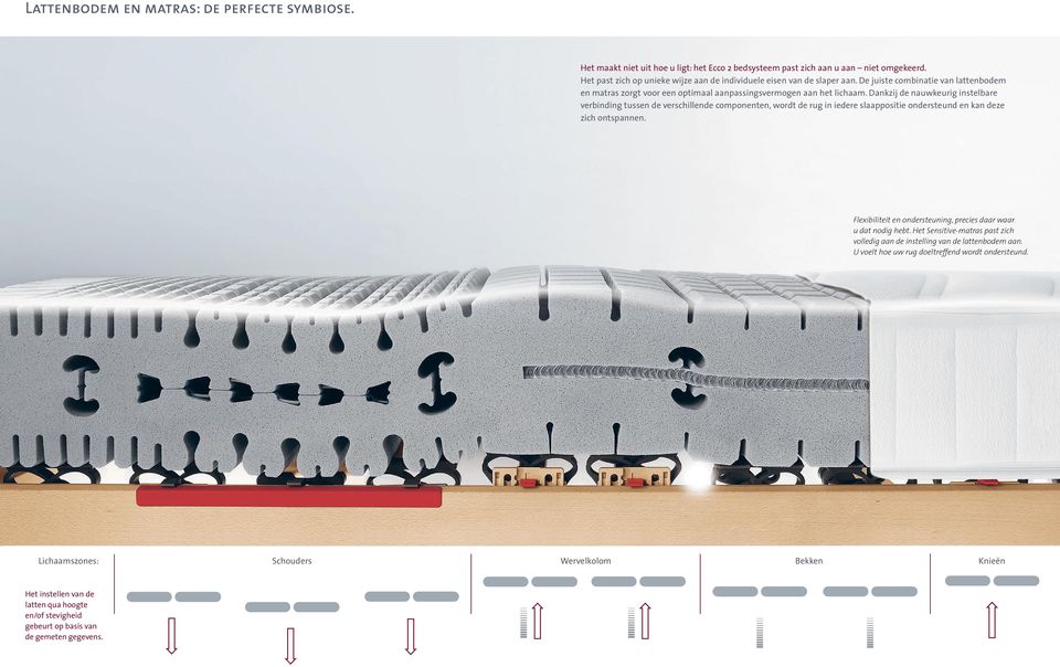 Dankzij de nauwkeurig instelbare verbinding tussen de verschillende componenten, wordt de rug in iedere slaappositie ondersteund en kan deze zich ontspannen.