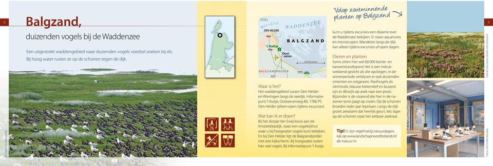 TEXEL M a r s d i e p DEN HELDER t Kuitje BALGZANDPOLDER N 9 W A D D E N Z E E BALGZAND Oostoever N99 vijf kilometer Het waddengebied tussen Den Helder en Wieringen langs de zeedijk.