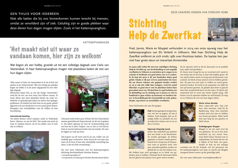 Stichting Deze kanjers vonden hun forever home Help de Zwerfkat Het maakt niet uit waar ze vandaan komen, hier zijn ze welkom Wat begon als een hobby, groeide uit tot een volledige dagtaak voor Carla