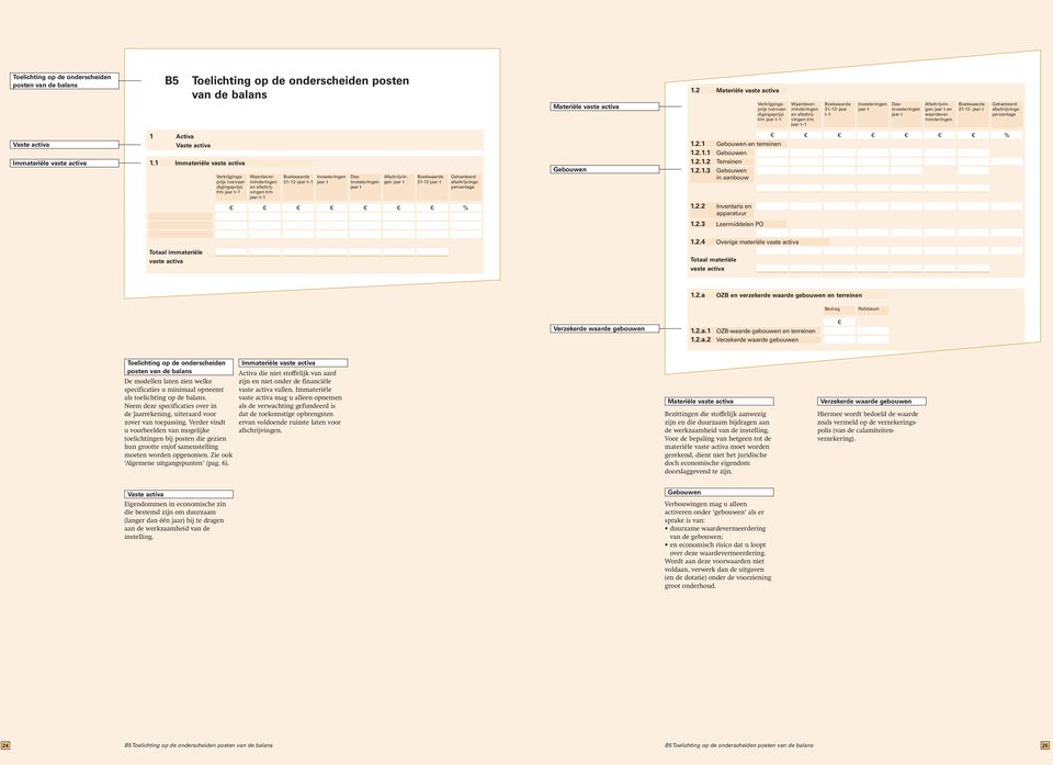 vaste activa mag u alleen opnemen Neem deze specificaties over in als de verwachting gefundeerd is de Jaarrekening, uiteraard voor dat de toekomstige opbrengsten zover van toepassing.