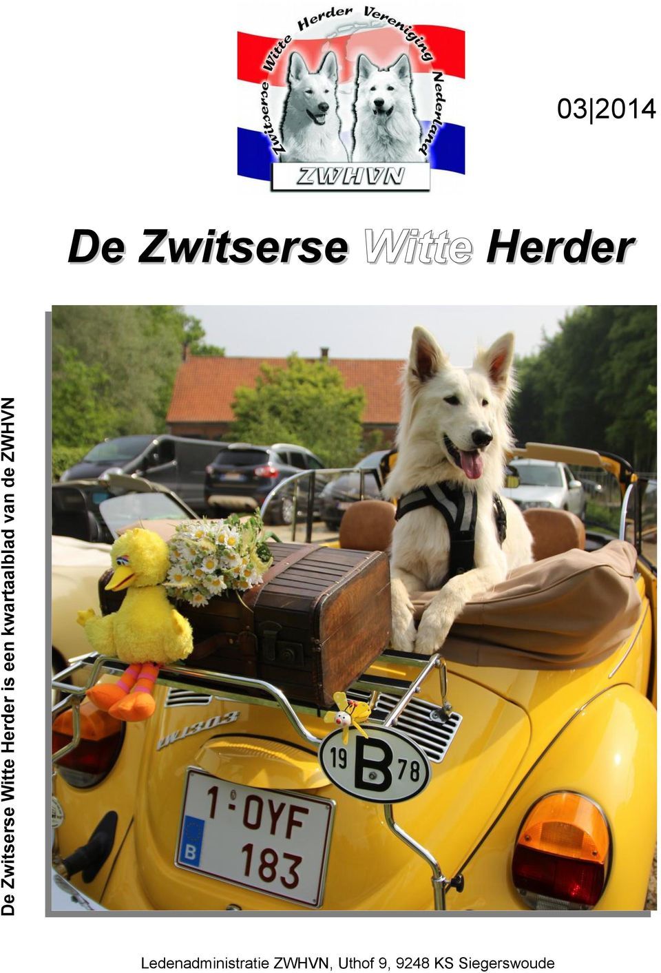 Zwitserse Witte Herder