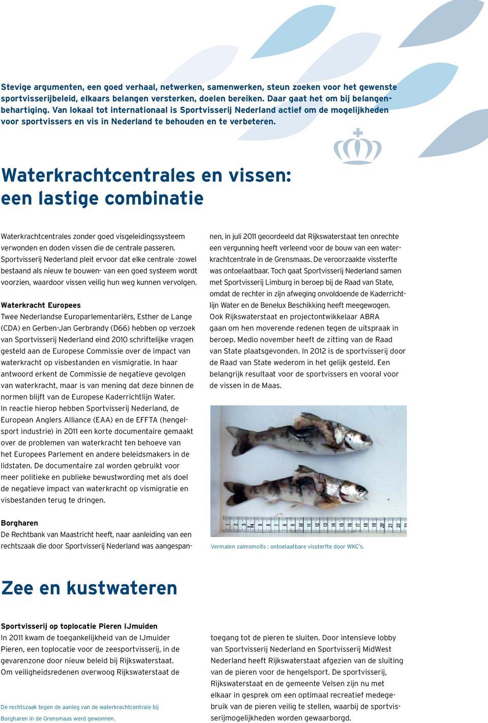 Waterkrachtcentrales en vissen: een lastige combinatie Waterkrachtcentrales zonder goed visgeleidingssysteem verwonden en doden vissen die de centrale passeren.